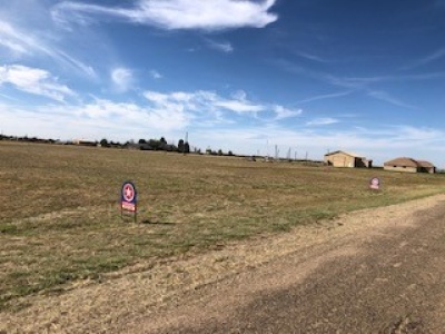 4-5 Prairie View Road, Dalhart, Hartley, Texas, United States 79022, ,Undeveloped Property,Residential Properties,Prairie View Road,1300